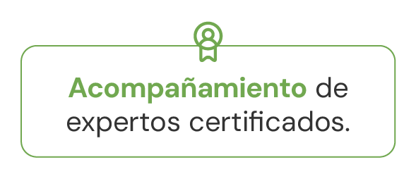 Icono: Acompañamiento de expertos certificados en servidores.